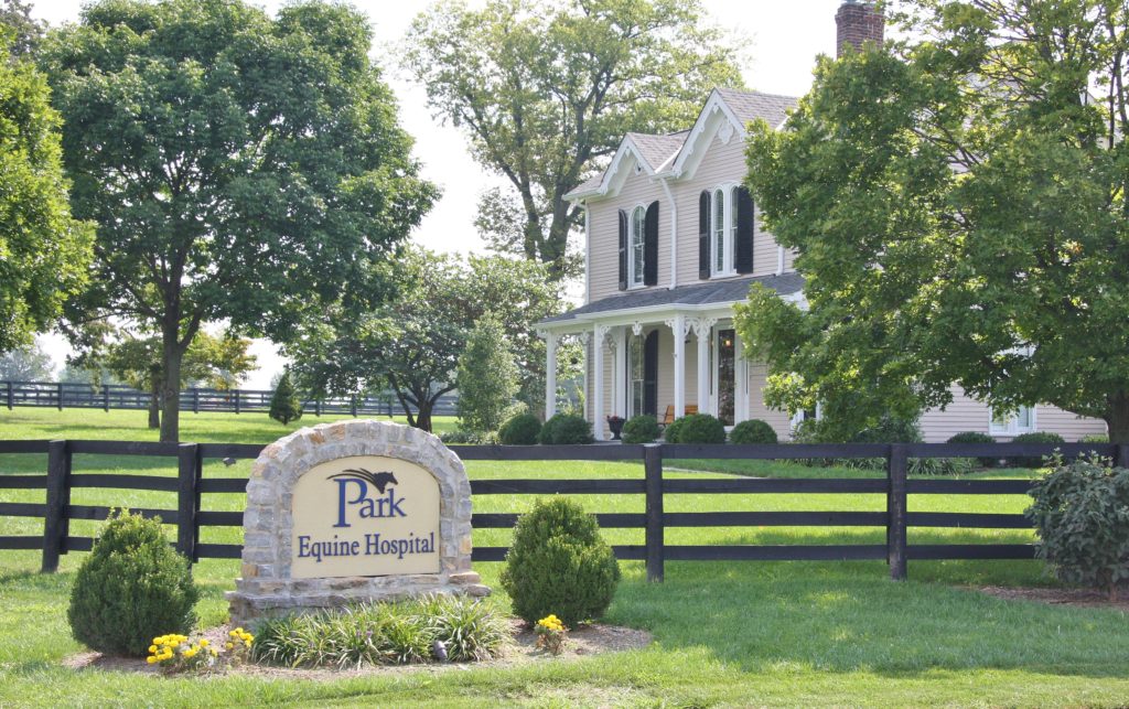About Us Park Equine Hospital